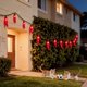 thumbnail image 3 of Guirnalda de Luces LUCKY SHINE Chile LED 5.5m 120V para Interior, 3 of 9
