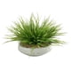 thumbnail image 1 of Hierba silvestre artificial en cuencos contemporáneos de seda D & W, 1 of 2