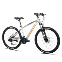 Totem - Bicicleta Mtb Aro 26 Modelo T100 Color Plateado
