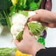 thumbnail image 2 of Verduras Artificiales Suxumhao Lufa De Simulación Amarillo, 2 of 4