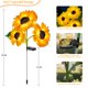 thumbnail image 5 of Luces solares de jardín con estaca MMHF 3 girasoles impermeables, 5 of 7