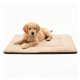 thumbnail image 1 of Colchoneta para perros DERICOR 61x46 cm Lavable reversible, 1 of 7