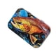 thumbnail image 2 of Caja Para Moscas De Pesca Con Mosca, Caja De Cebo Falso Seco Y Húmedo, Contenedor, Se?uelos De Pesca Con Mosca, Estilo A, 2 of 5