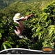 thumbnail image 4 of Café molido Yaucono tueste medio – 4 bolsas de 397 g, 4 of 8