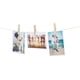 thumbnail image 3 of Juego de 50 pinzas Whitmor de madera HD Wood Spring, 3 of 7