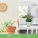 thumbnail image 3 of 4 piezas de enrejado para plantas trepadoras de interior, enrejado pequeño para plantas en maceta, enrejado para plantas de interior para plantas en maceta, enrejado de jardín negro para Hoya, Pothos,, 3 of 7