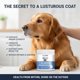 thumbnail image 5 of Suplemento para perros DoggySupps Taurina 113 g para apoyo inmunológico, 5 of 7