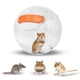 thumbnail image 1 of Pelota de ejercicio para hámster Happy Habitats, transparente, 7 pulgadas, 1 of 7