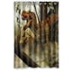 thumbnail image 1 of Cortina de ducha de dinosaurio, juego de cortina de baño con ganchos, tamaño 48 x 72 pulgadas, 1 of 3
