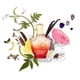 thumbnail image 3 of Perfume CREED Royal Princess Oud Eau de Parfum para mujer, 75 ml, 3 of 6