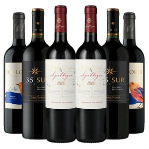 Bbvinos - 6 Vinos Mix Asado Reservado, 750 Ml