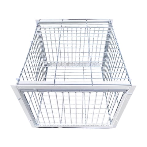 Magideal - Jaula Para Pájaros Y Palomas, Jaula Para Animales, Cuidado De Aves De Corral, Recolector Automático De Palomas De Una Sola Vía Para Otros Pájaros, Car Entrada De 2 Vías