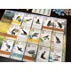 thumbnail image 5 of Set de cartas Stonemaier Games Wingspan, diseño de aves, promoción de aves, 5 of 9