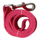 thumbnail image 1 of Correa plana larga resistente para perros 3mts x 2,5cm, 1 of 3