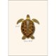 thumbnail image 5 of Juego de tarjetas de notas Earth Sky + Water, 8 tarjetas surtidas, 5 of 6