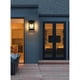 thumbnail image 2 of Aplique de Pared Exterior Elegant Lighting Ringgold 8.5 Negro, 2 of 8