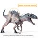 thumbnail image 5 of Figura de dinosaurio JR PARK 40 cm Rex realista con mandíbula móvil, 5 of 9