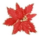 thumbnail image 1 of Flor Navidad 31*19cm, 1 of 2