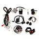thumbnail image 3 of Juego completo de cables de cableado de bobina CDI Electrics para 150cc 250cc ATV, 3 of 5