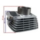 thumbnail image 5 of Cilindro Completo Cg150 62mm, 5 of 10