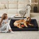 thumbnail image 3 of Cama ortopédica para perros BFPETHOME para perros grandes a prueba de agua, 3 of 6