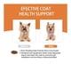 thumbnail image 5 of Nutridog Pet Skin + Coat Cuidado Piel Pelaje Perros 120 Chew, 5 of 7