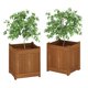 thumbnail image 1 of Caja para Flores Furinno 2-FG16450 de Madera Dura 39x45x39 cm, 1 of 4