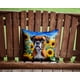 thumbnail image 2 of Cojín Sunflowers Boxer 14 X 14 Cm, 2 of 6