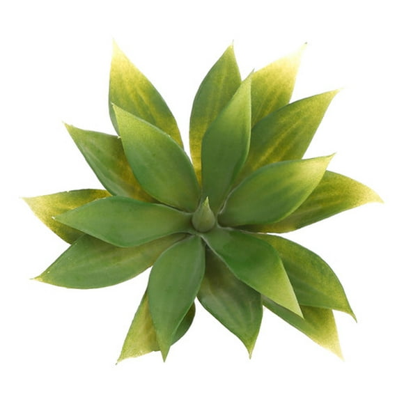 Suculenta artificial