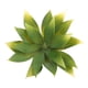 thumbnail image 1 of Suculenta artificial, 1 of 2