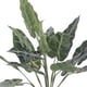 thumbnail image 3 of Planta Decora Artificial Alocasia Zebrina Blanca, 3 of 4