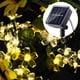 thumbnail image 3 of Pack 2 Guirnalda Solar Hada Flor Led Boda 5 Mtrs Calida, 3 of 3