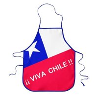 Pack X 4 Delantal Cocina / Bandera -Palermo
