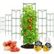 thumbnail image 1 of Tutor para tomate K-Brands de 68 pulgadas de alto para verduras (paquete de 6), 1 of 9