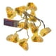 thumbnail image 1 of Luz De Navidad En Forma De Manzana 10 Luces, 1 of 2