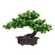 thumbnail image 3 of Plantas Artificiales De La Casa Del árbol De Pino De La Decoración De Los Bonsais Para La Mesa Del Comedor Estilo Duradero B, 3 of 3