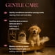 thumbnail image 4 of Acondicionador Gentle Care Para Cachorros Y Gatitos 350 Ml 11 83 Fl oz Extracto D, 4 of 9