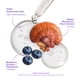 thumbnail image 3 of Protector solar FRUDIA Blueberry Hydrating Air Fit SPF 50 50 ml, 3 of 9