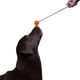 thumbnail image 2 of Varita de entrenamiento para perros Karen Pryor Clicker 36 cm roja con objetivo, 2 of 3