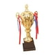 thumbnail image 1 of Premio Trofeo Niños Props Trofeo Copa Premio Para Torneos De Fútbol Deportes 46cm, 1 of 5