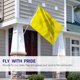 thumbnail image 2 of Bandera Anley Fly Breeze de poliéster, color amarillo liso, 90 x 150 cm, 2 of 6