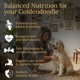 thumbnail image 2 of Multivitaminas para perros Prestige Breed Goldendoodle 90 unidades, 2 of 6