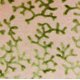 thumbnail image 3 of Cojín Plutus Brands Sage Reef Apple Green Floral, 3 of 3