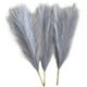 thumbnail image 2 of 3 Flores Secas De Junco Bohemio De Hierba De Pampa Para Jarrón De Salón Gris, 2 of 5