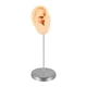 thumbnail image 3 of Accesorio De Exhibición De Joyas Para Aretes, Fotos, Modelo De Oreja De Silicona Para Práctica De Perforación, Piel Derecha, 3 of 5