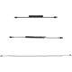 thumbnail image 4 of Cable StarTech RUSB2ALT1MBC USB a Lightning de 1 m, enrollado, negro, 4 of 7