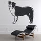 thumbnail image 2 of Decomural Border Collie Dog Pet Animals WS-18699, 2 of 2