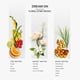 thumbnail image 3 of Aceite difusor AromaPlan Dream On Hotel, 148 ml, paquete de 2, 3 of 7