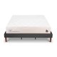 thumbnail image 1 of Cama Europea Curve Cocopedic King Base Normal, 1 of 14