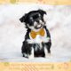 thumbnail image 5 of Uxcell Pajarita para Perro, Pajarita de Esmoquin con Collar Ajustable Collar de Mascota Lindo Pajarita Elegante con Gancho y Bucle (Algodón, S, Burdeos), para Boda de Mascota Bandana Cumpleaños Fiesta, 5 of 7